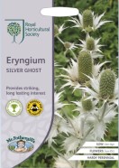 Eryngium Silver Ghost RHS Seeds